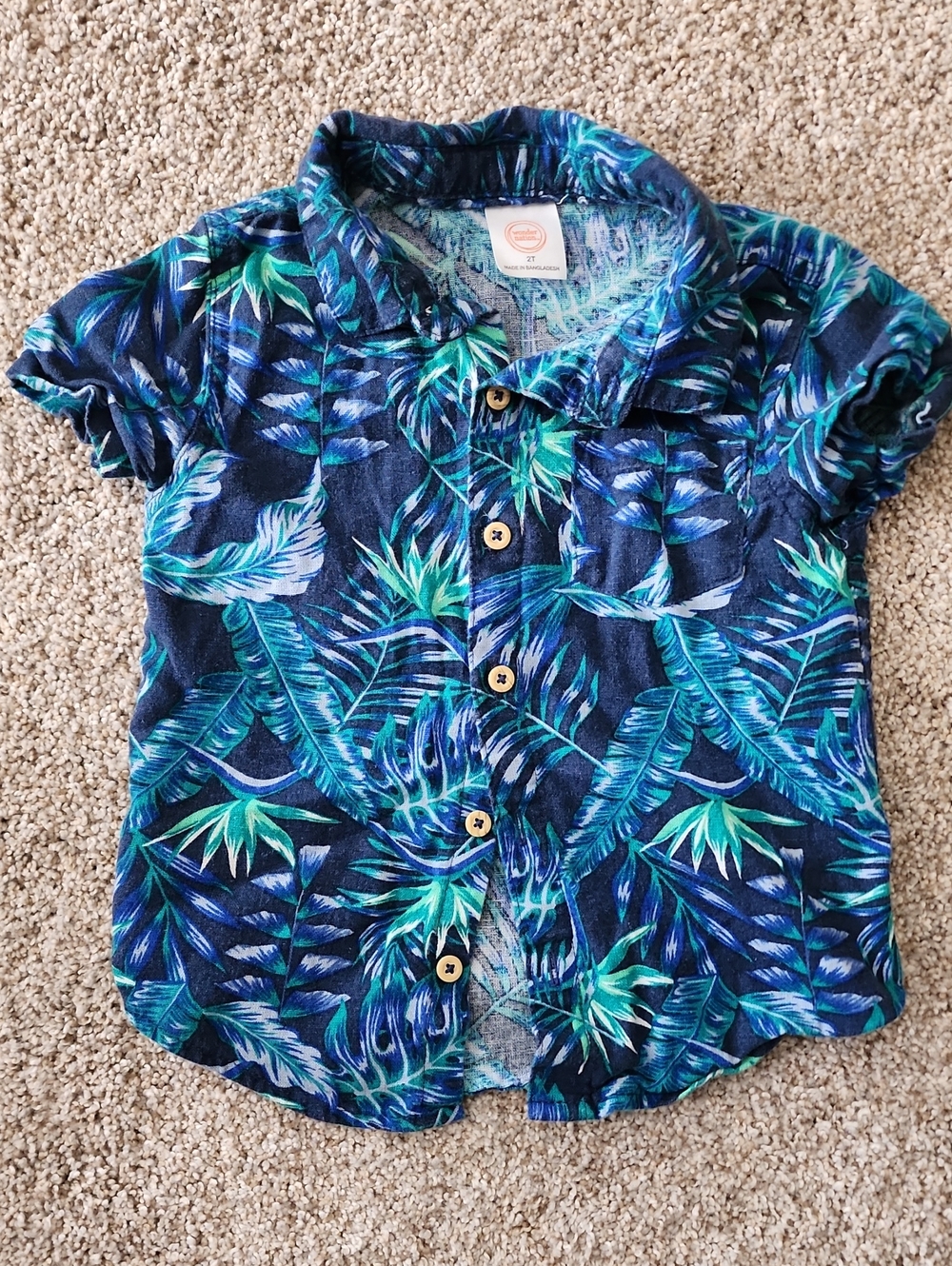 2t wonder nation Blue and Green Tropical Leaf Button-Down Shirt
